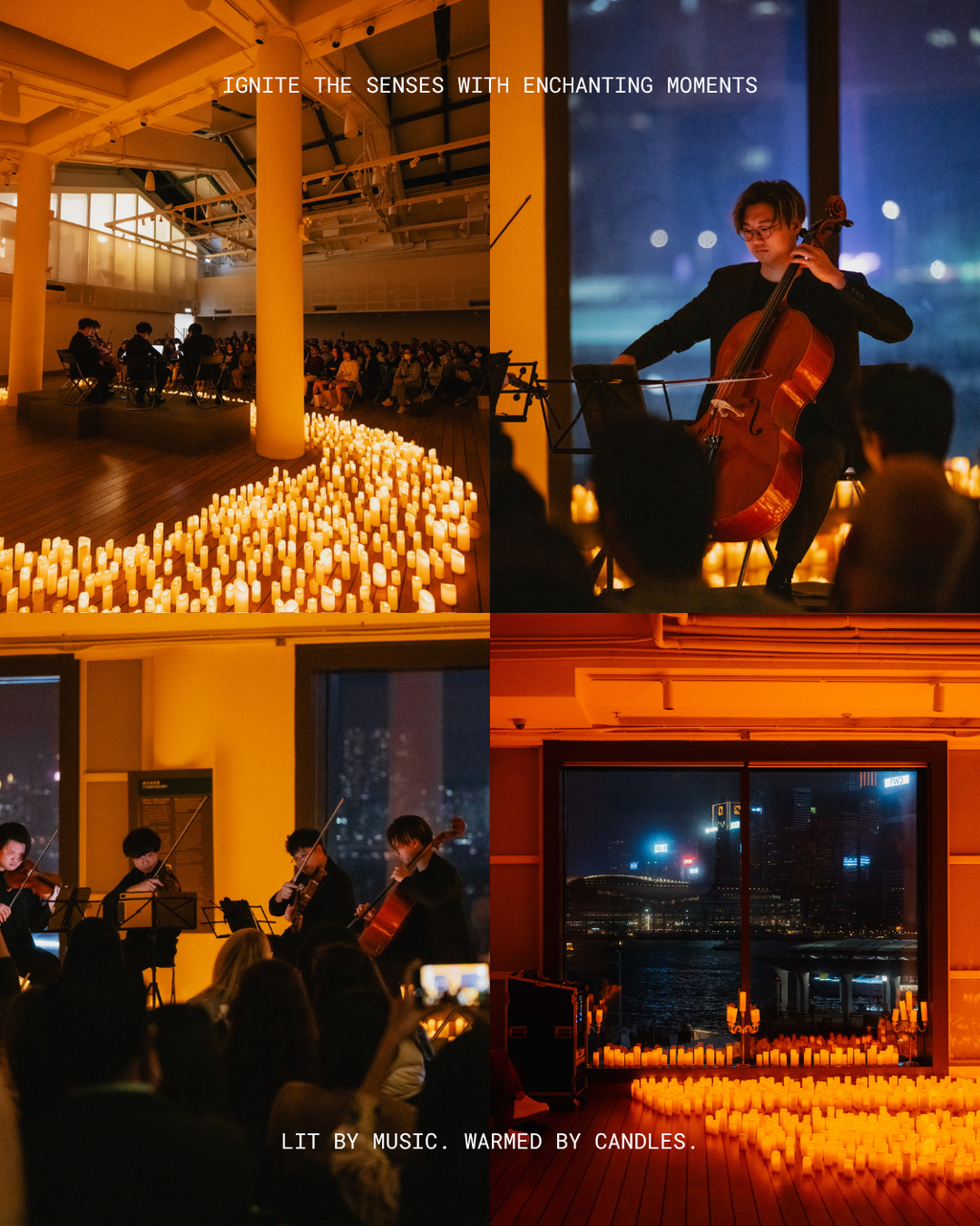 Tribute to Studio Ghibli Films