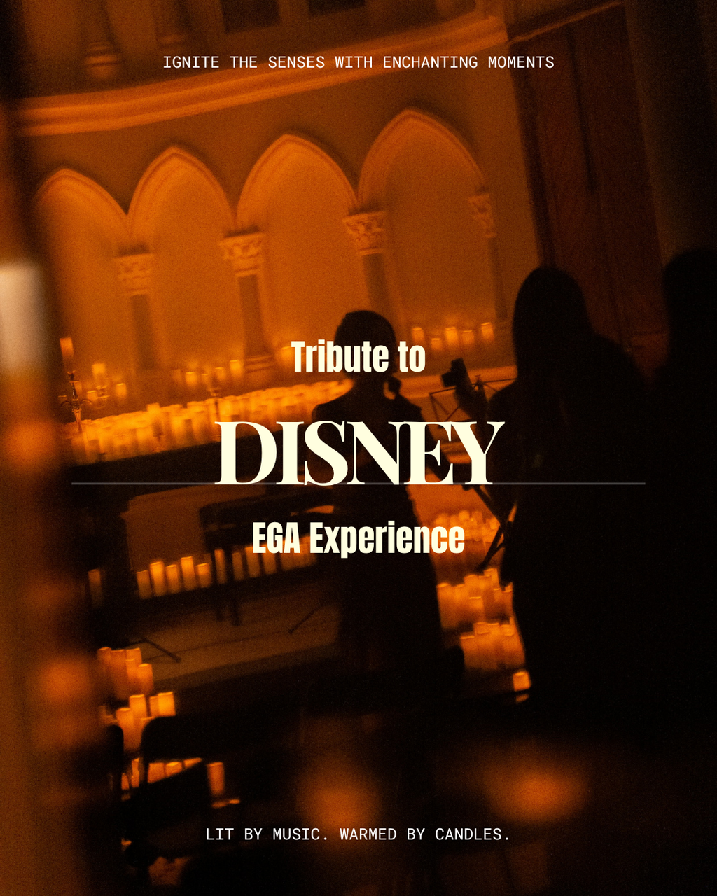 Disney Nights