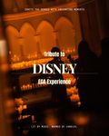 Disney Nights