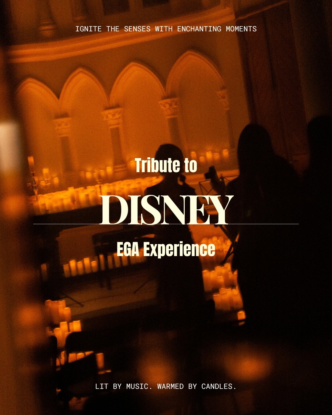 Disney Nights