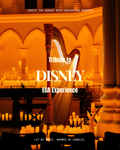 Disney Nights
