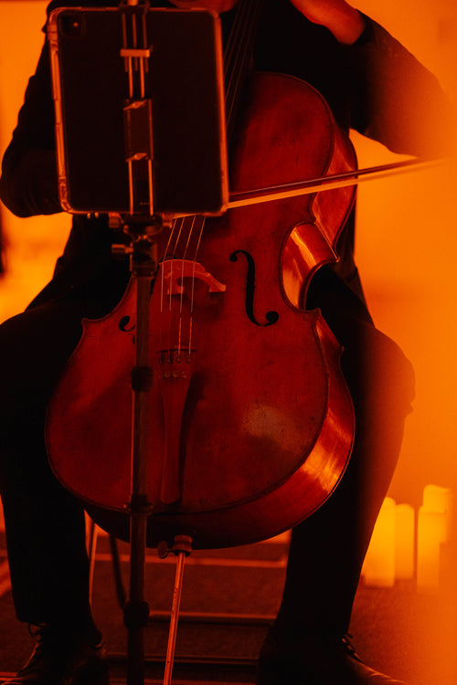 Studio Ghibli Reimagined by EGA