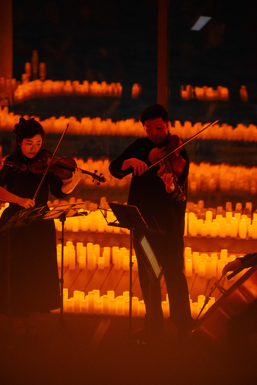 Tribute to Disney Films